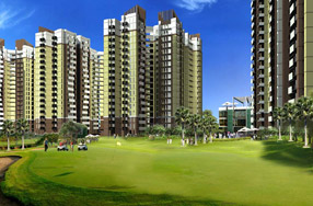 Amrapali Golf Homes